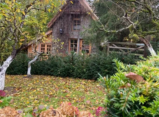 La Maisonnette Des Hêtres Rouges Hébergement de vacances