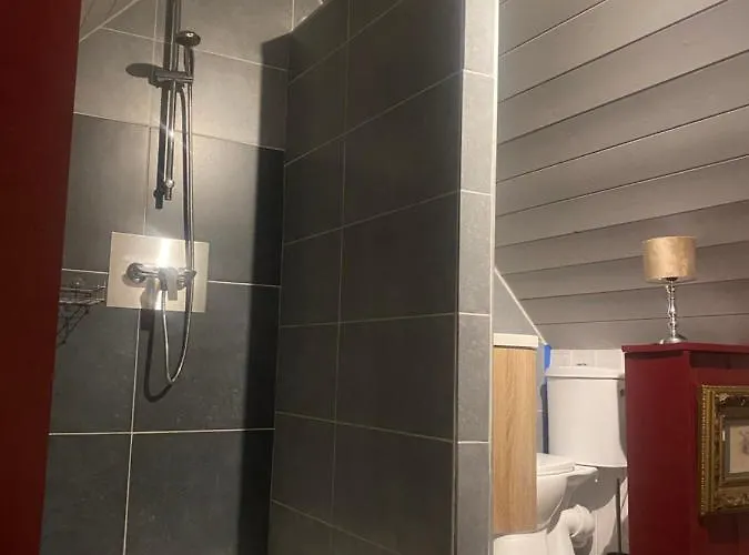 Hébergement de vacances La Maisonnette Des Hêtres Rouges Spa