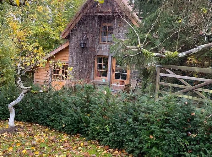 La Maisonnette Des Hêtres Rouges Hébergement de vacances Spa