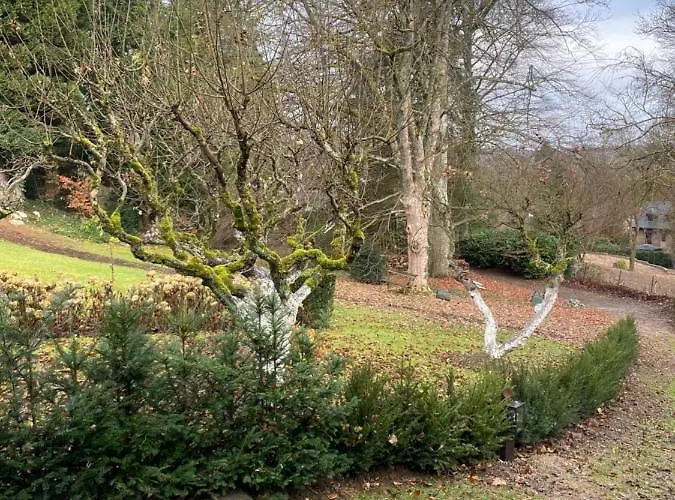 Hébergement de vacances La Maisonnette Des Hêtres Rouges
